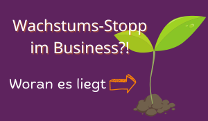 Wachstumstopp im Business und was du dagegen tun kannst