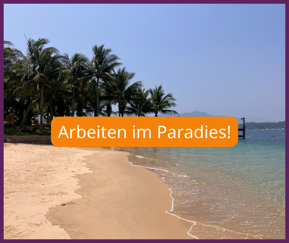Werde erfolgreich Freelancer in der IT-Branche
